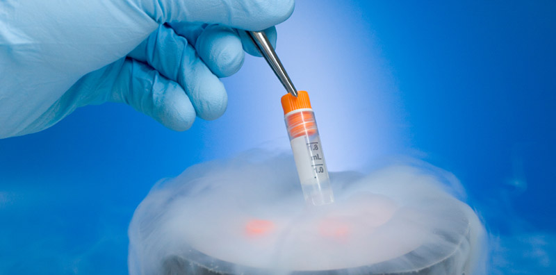 A Frozen Embryo Transfer (FET) could Improve your Chances of Success in Subsequent Cycles