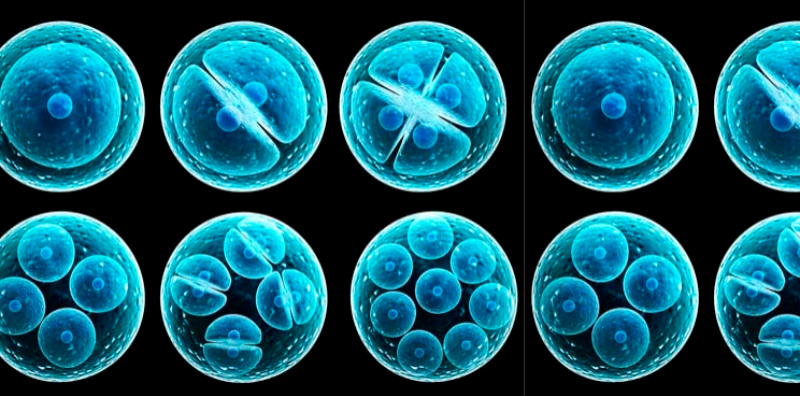 Breakthrough: Human Embryos Safely Edited to Remove Disease