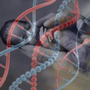 Couples may want to consider carrying out DNA testing on their babies after IVF treatment to confirm that they have the same genetics as the baby